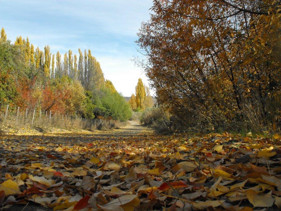 Posada De Campo La Calma Aluminé Εξωτερικό φωτογραφία